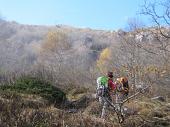 20 Si sale nel bosco